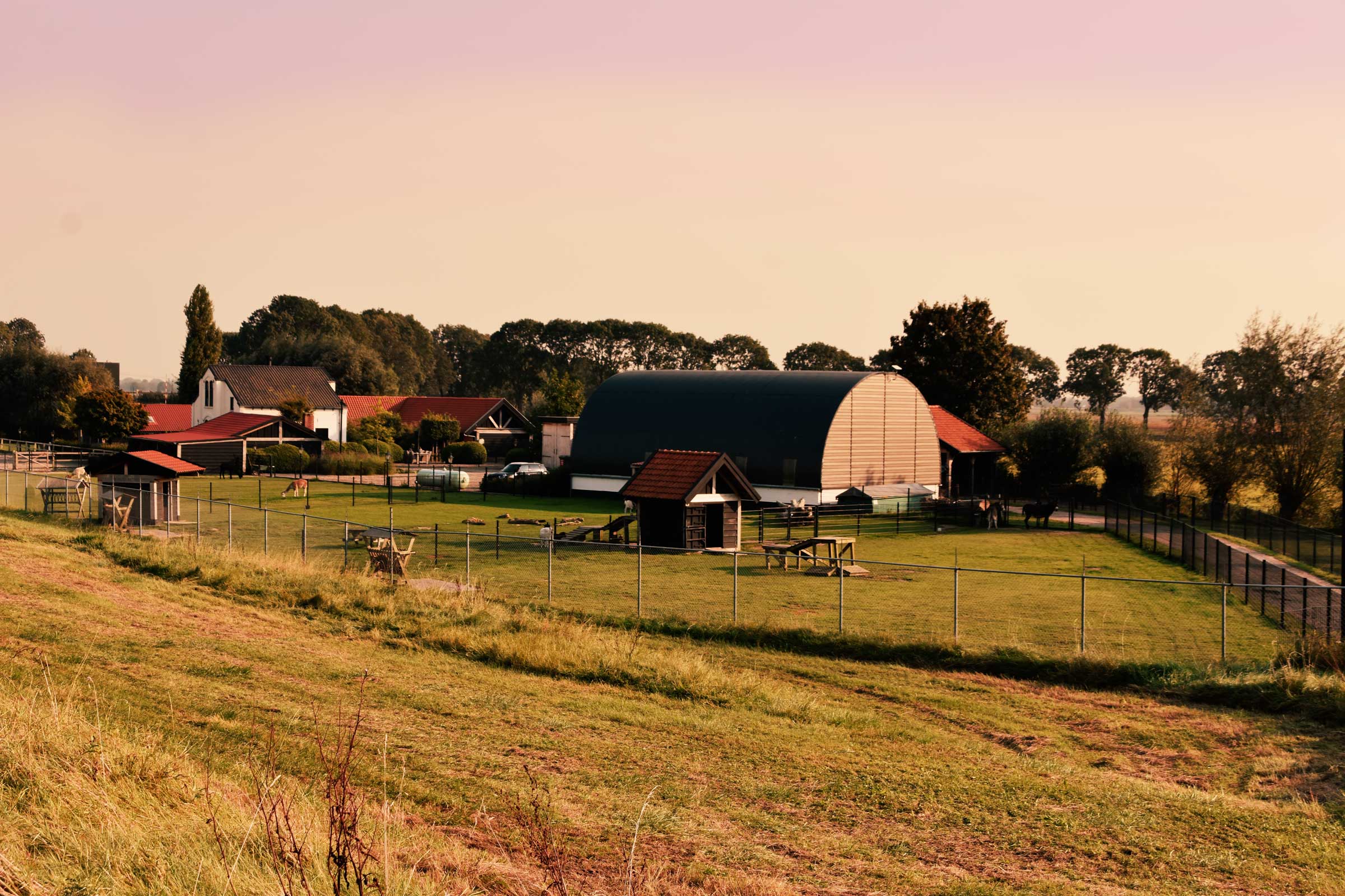 Paardencoaching De Villa