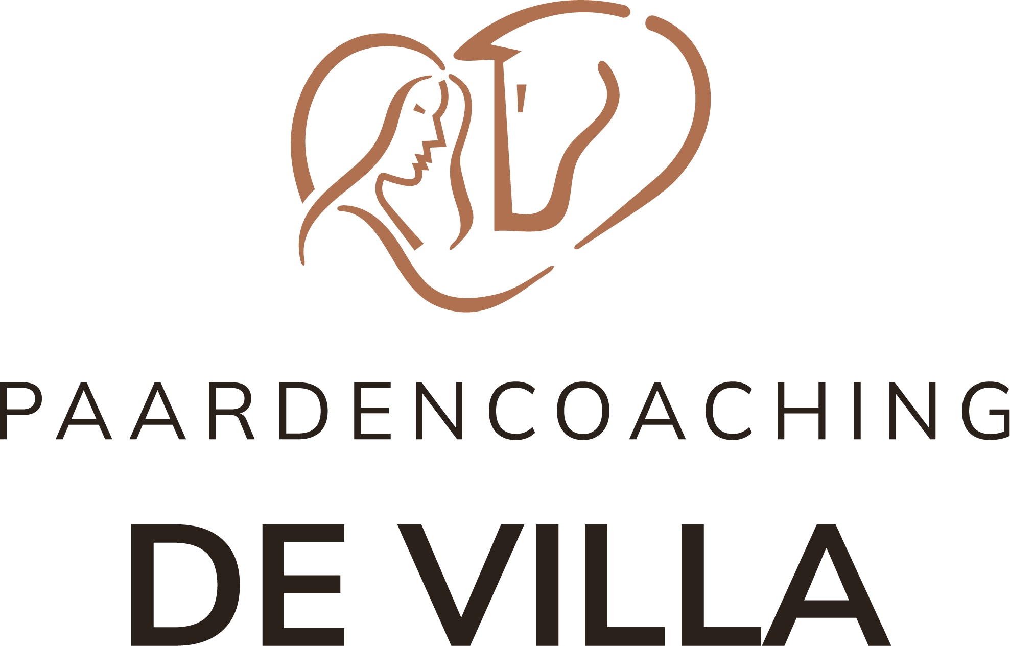 Paardencoaching de Villa